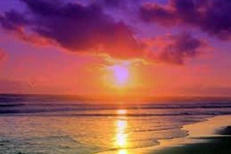 سانت بيتي بيتش The Monterey Beach Resort المظهر الخارجي الصورة
